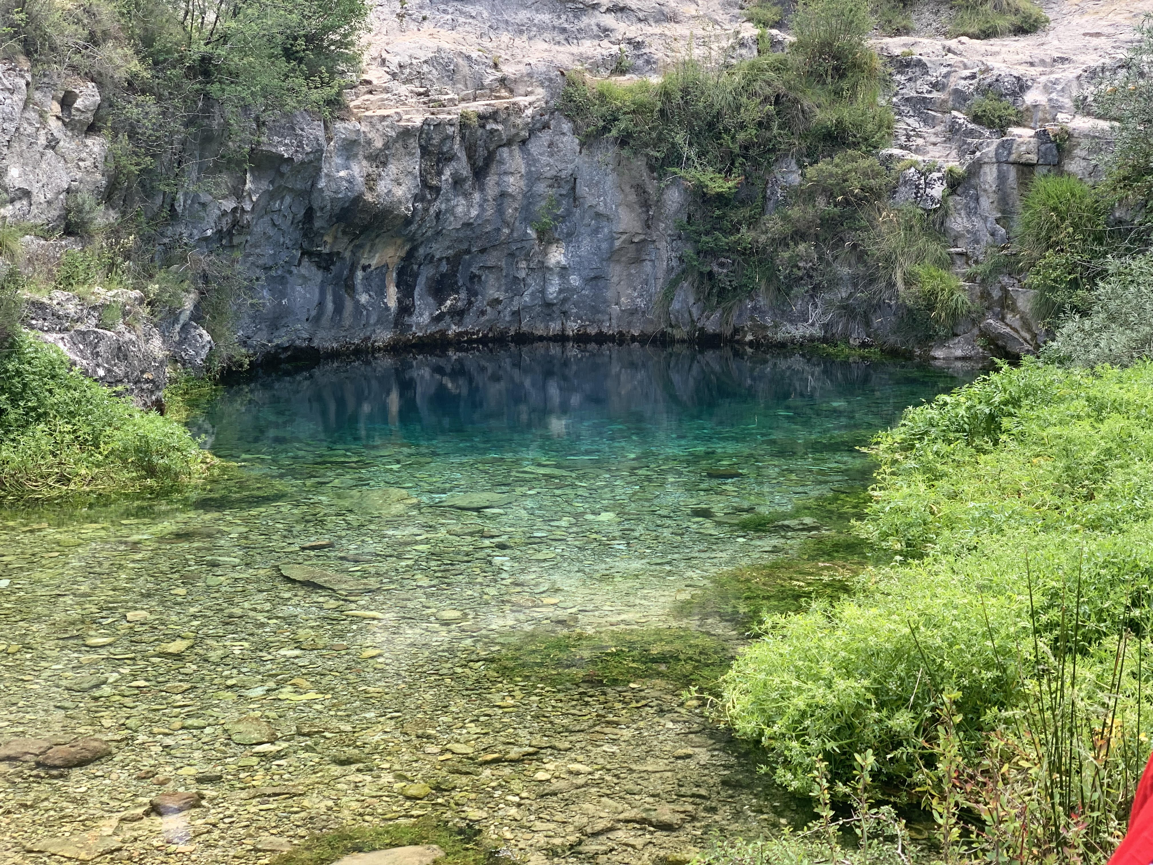 Agua es vida